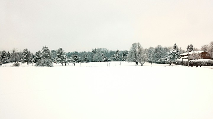 Winter Wonderland