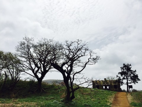 farm