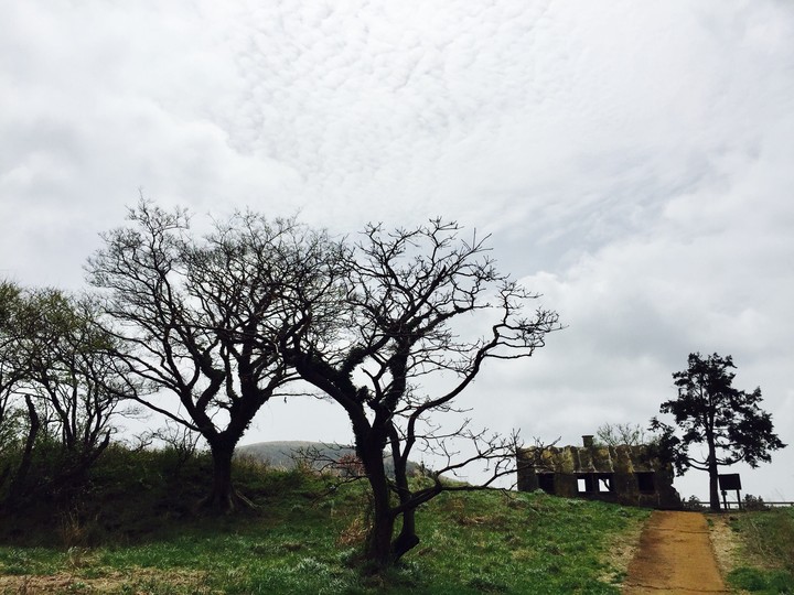 farm