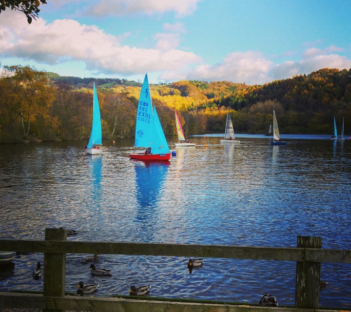 boats