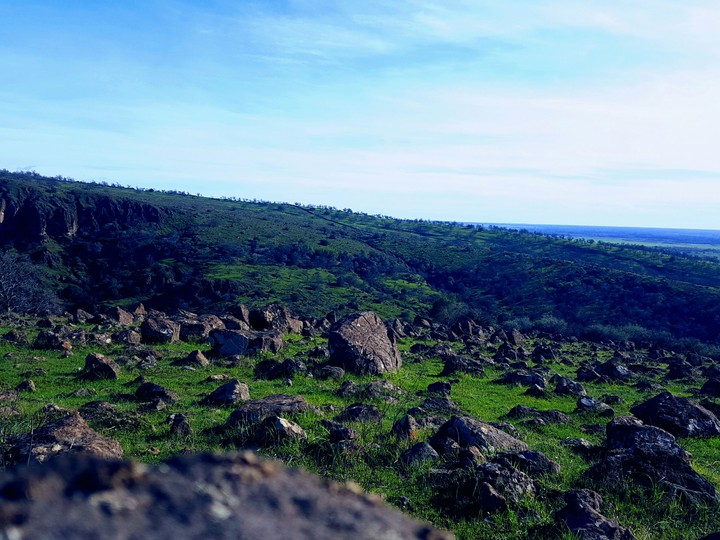 Hogsback Field