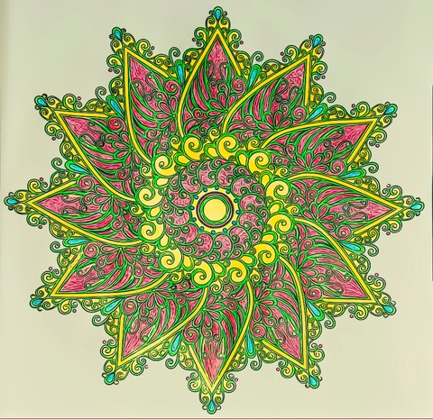 sfondi rectangle, botany