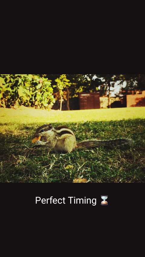 #perfect timing