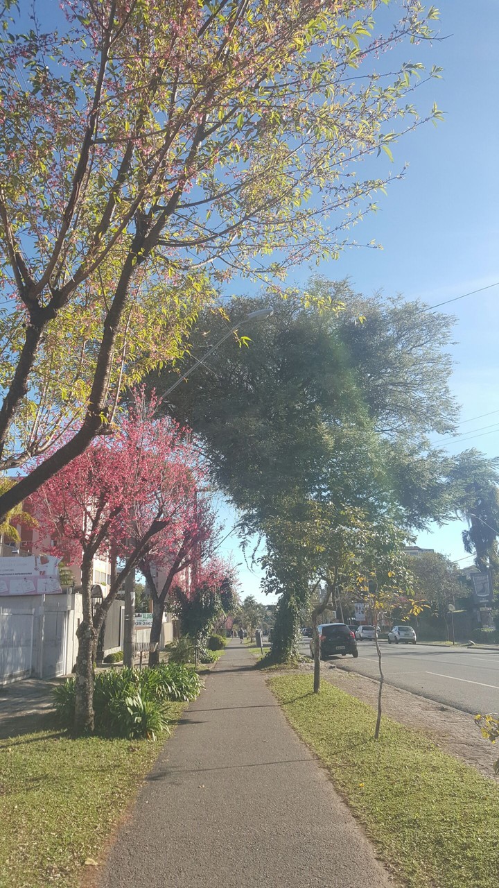 Curitiba