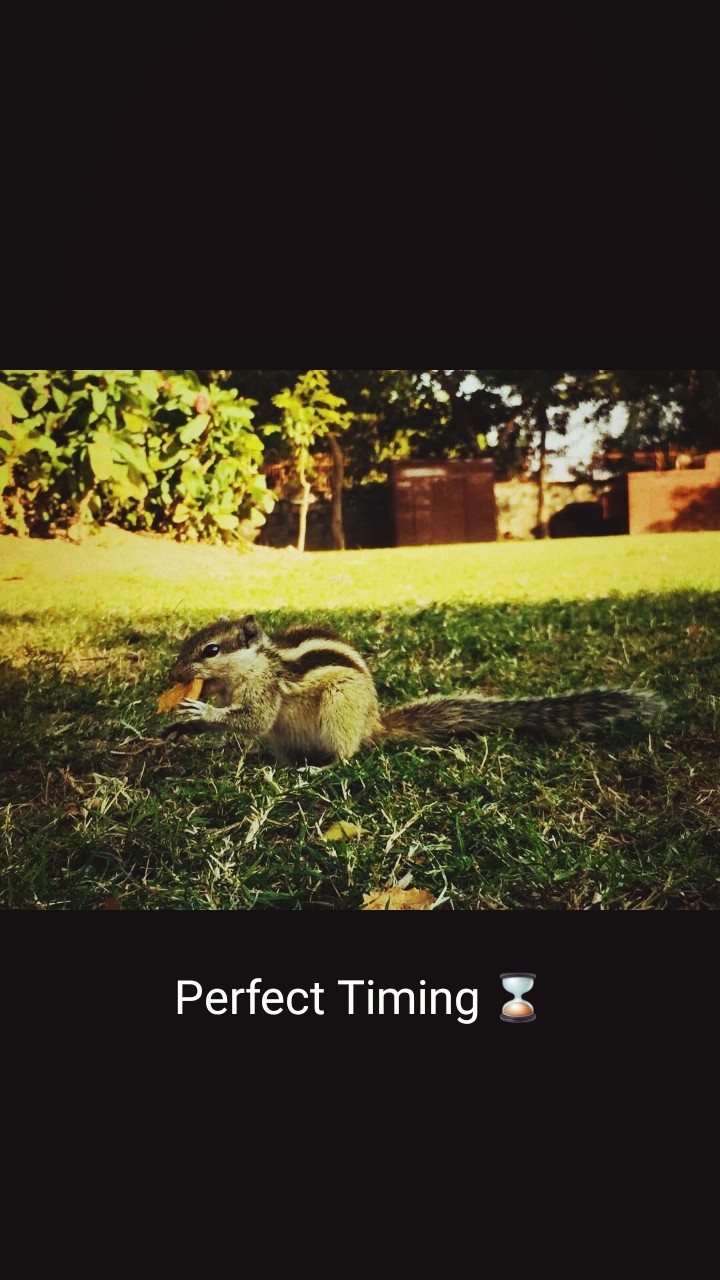 #perfect timing