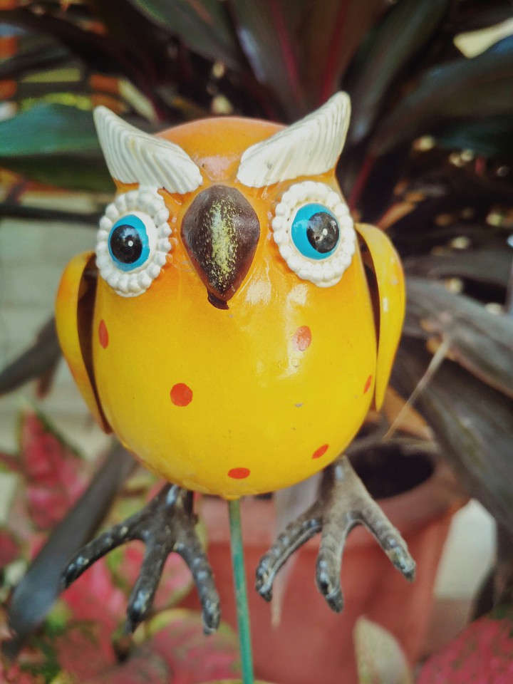 owl for flower pot