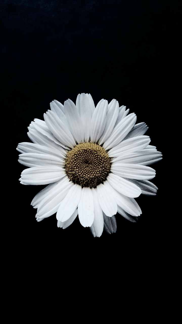 minimalism