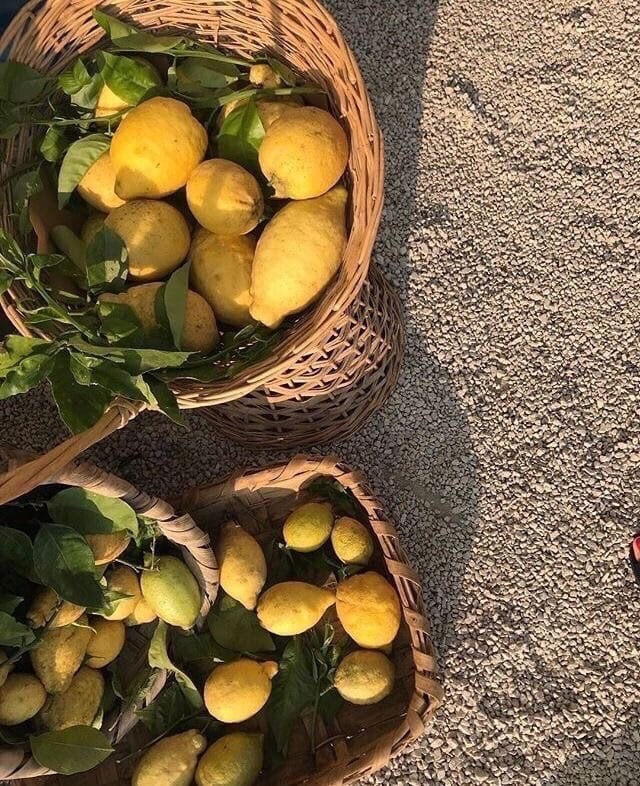 лето