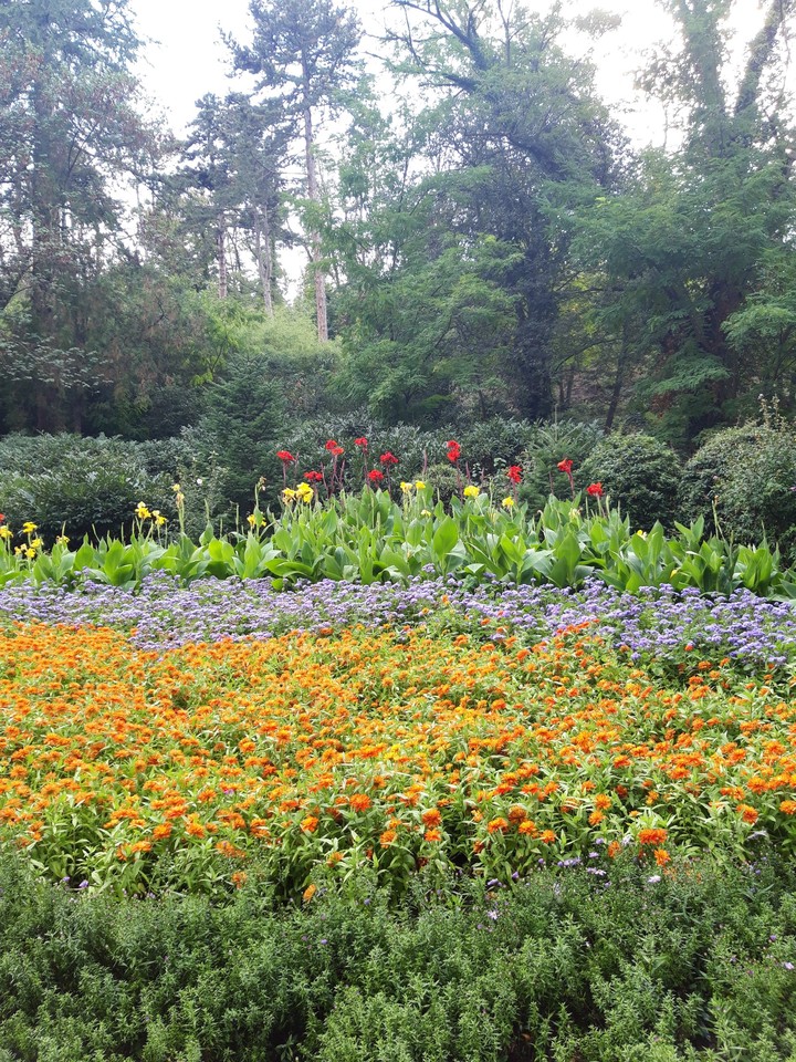nacional botanical garden of georgia