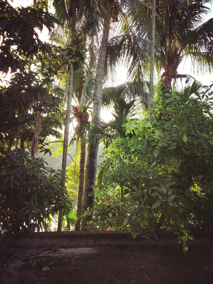 morning