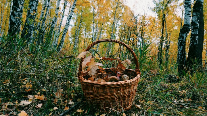 Small harvest