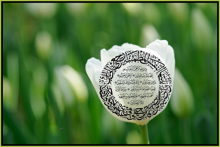 Quranic Calligraphy