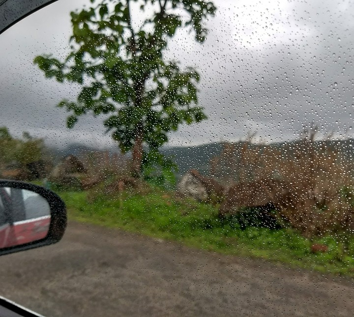 Drops on window