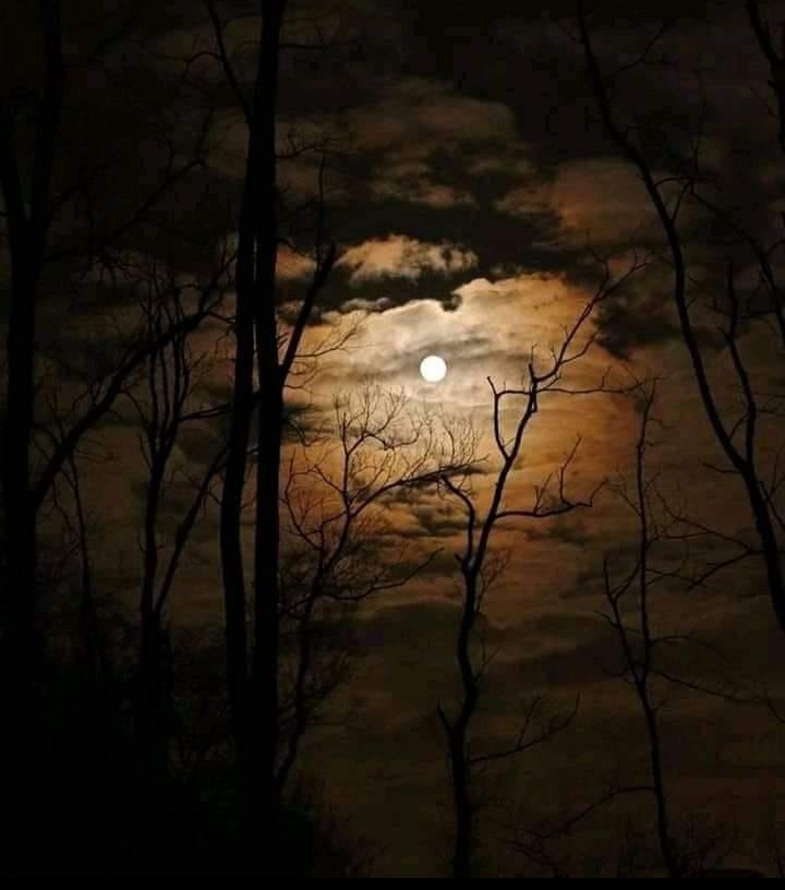Dark Night