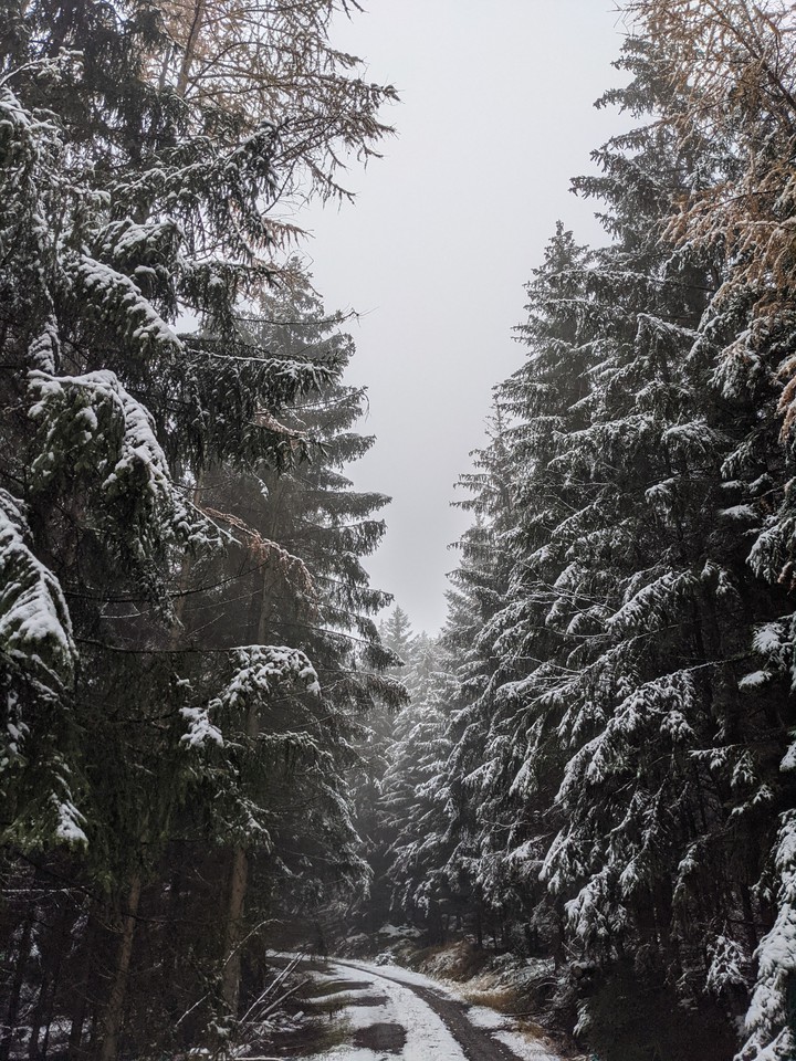 Winter