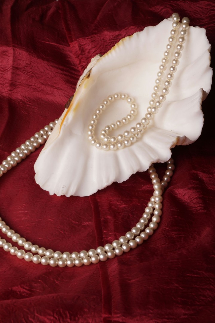 pearl necklace and seashell