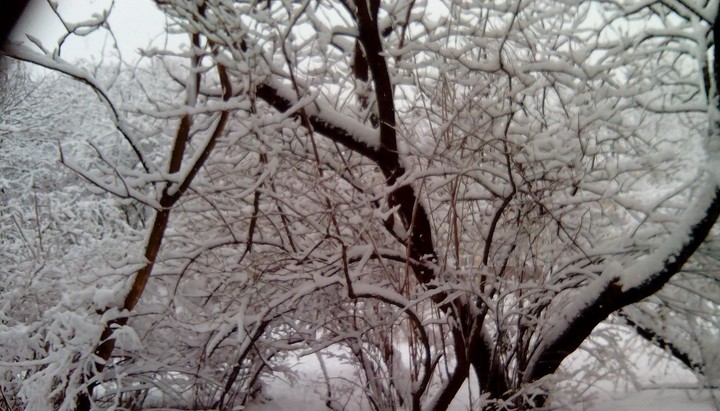 *Magic winter*