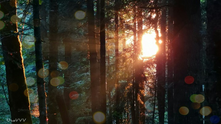 light