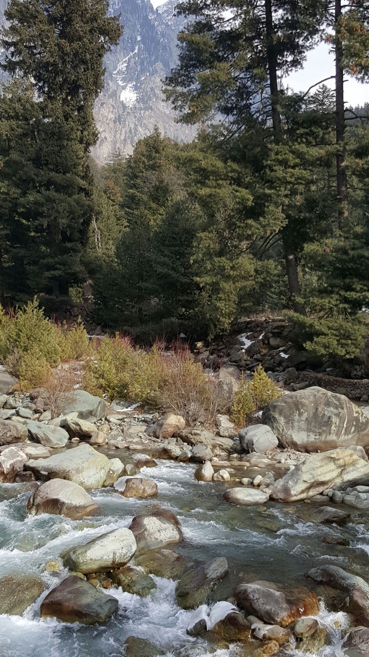 Scenic