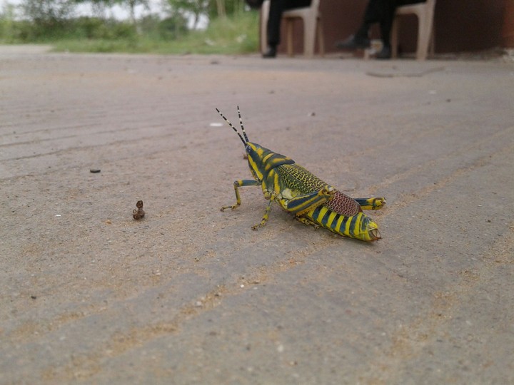 my best phote