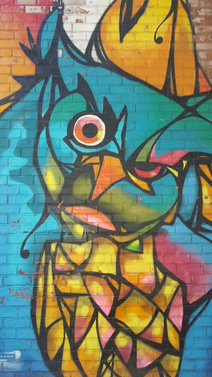 Sup Owl?