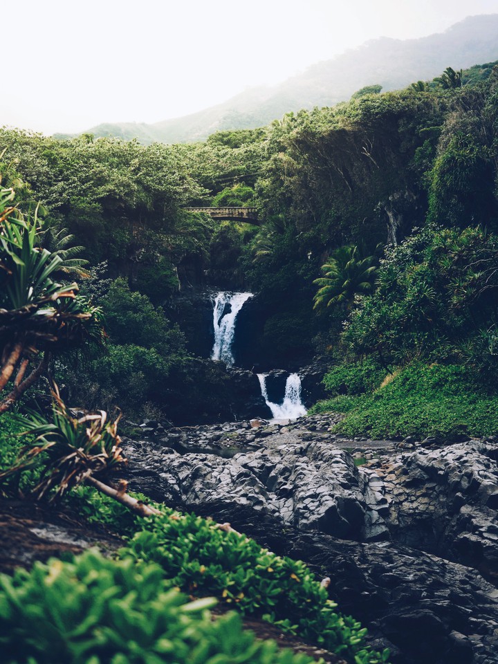 nature