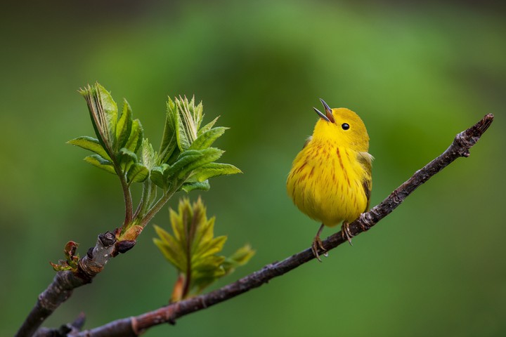 Cute☺