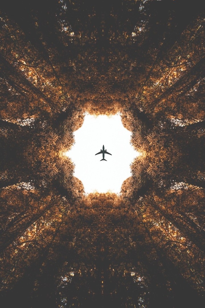 airplane