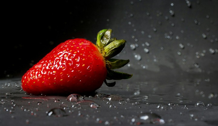 forbidden fruit. O_×