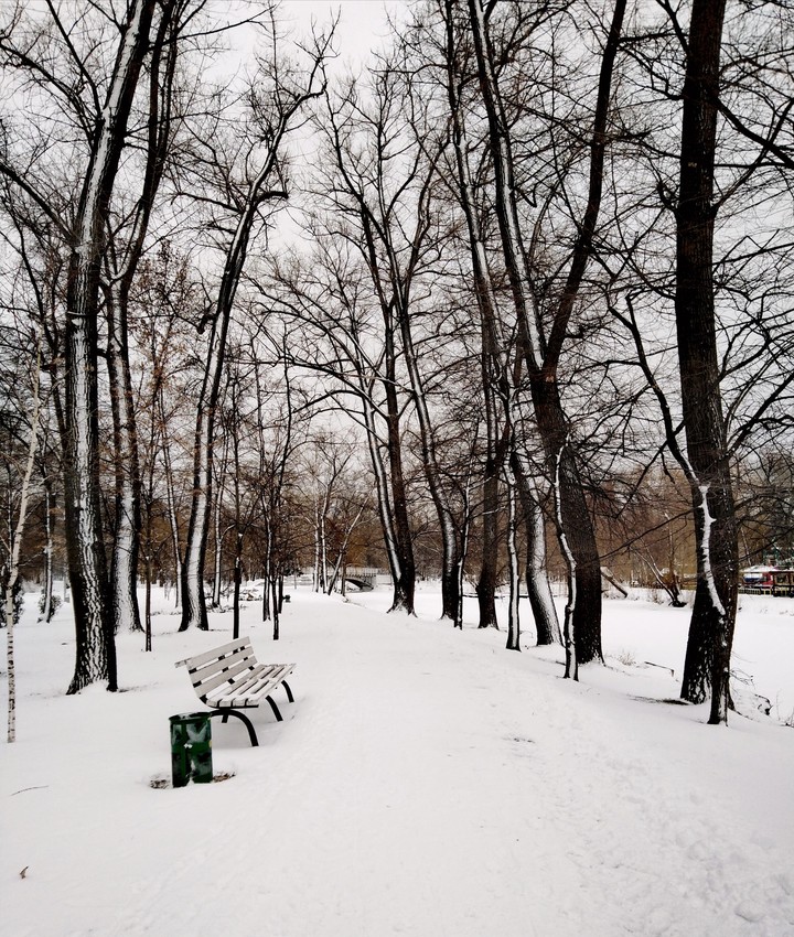 winter ❄️