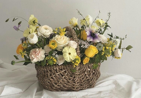 sfondi rose, floristry