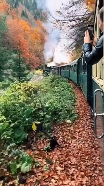 Y❤️ Autumn vibes