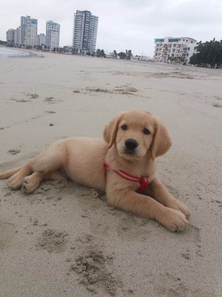 phillip at Salinas Beach