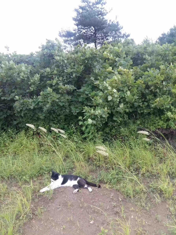 ?
