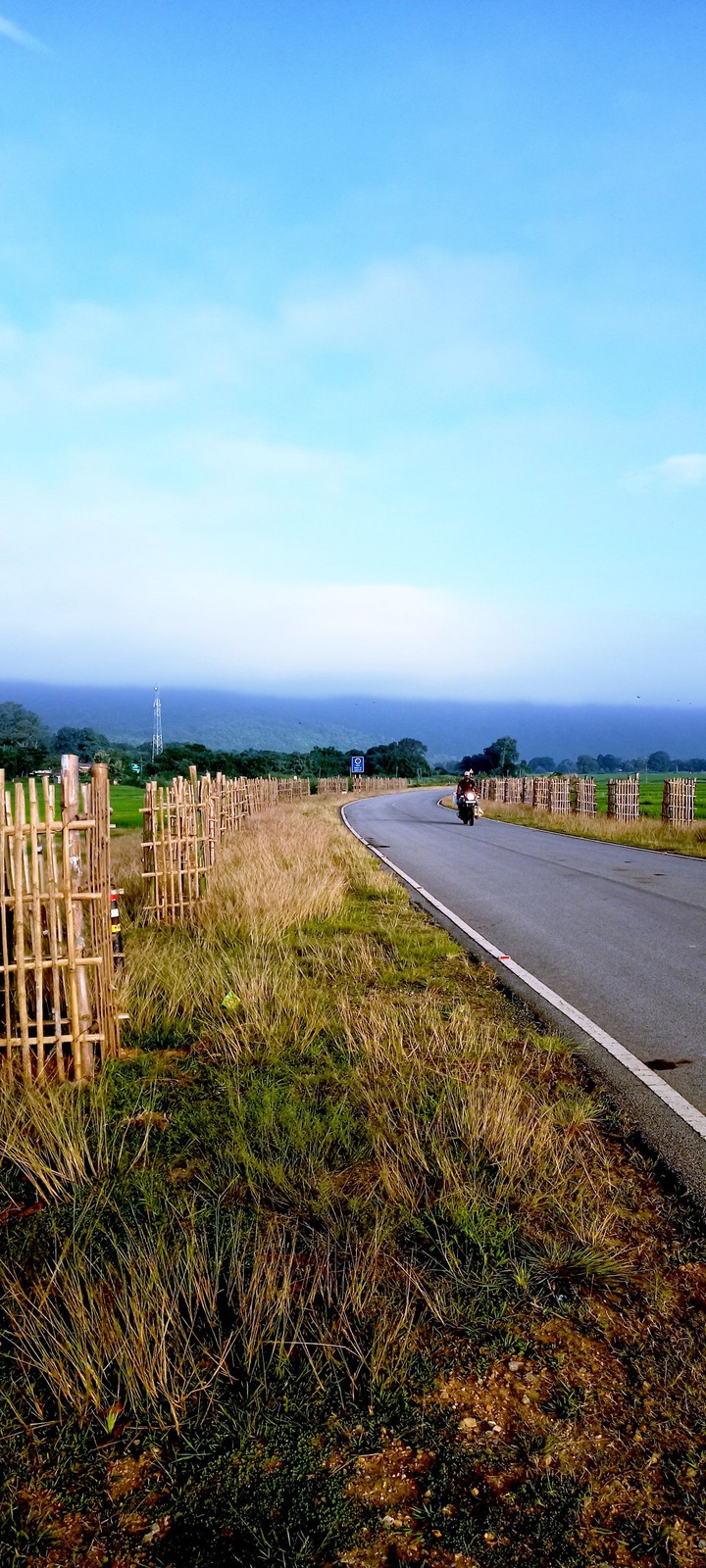 Countryside