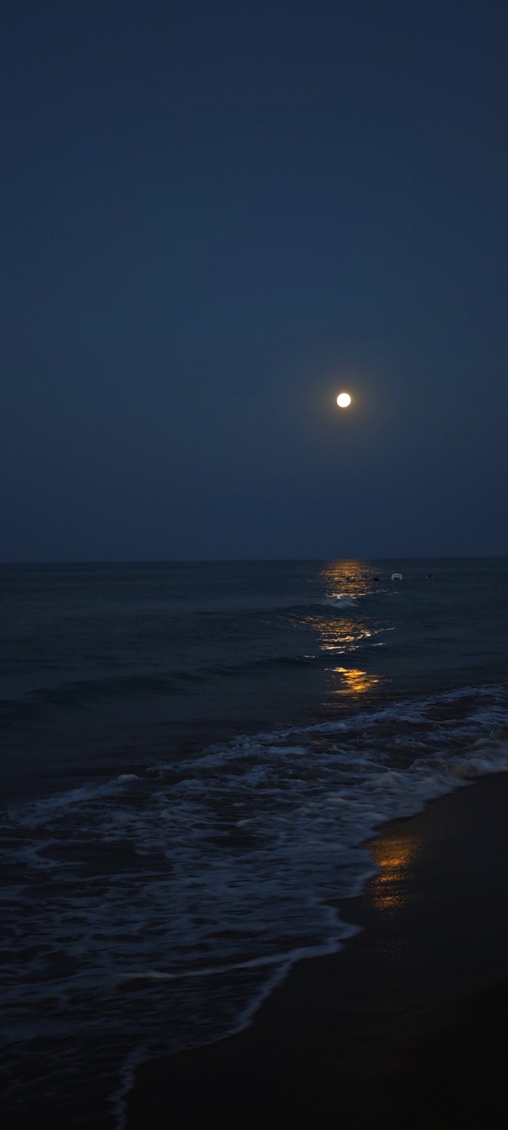 hình nền ocean, sea