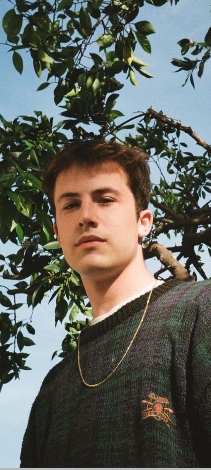 Dylan Minnette