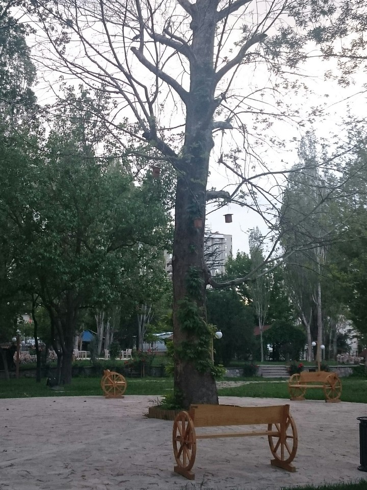 ..