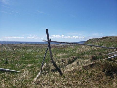 windy day