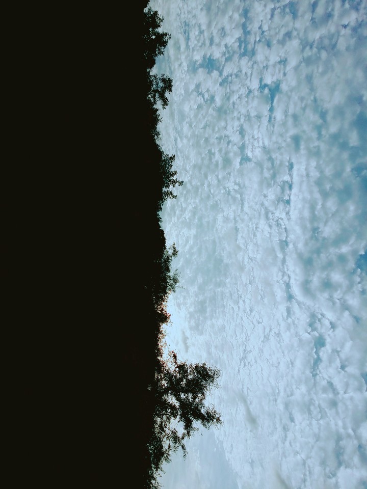 하늘