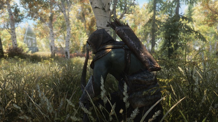 Skyrim
