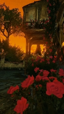 Roses
