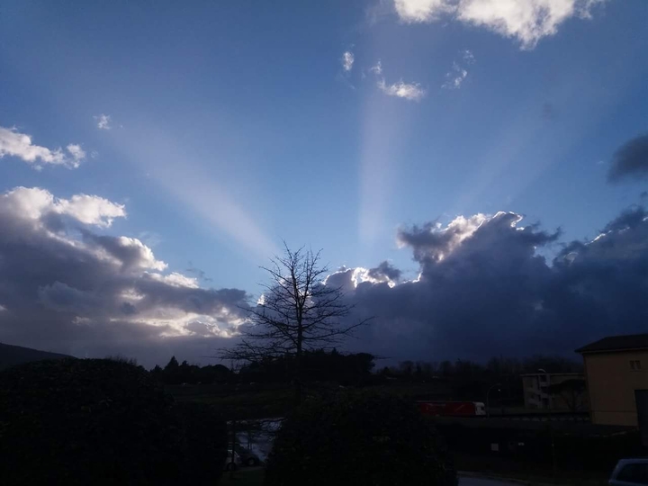 #alba