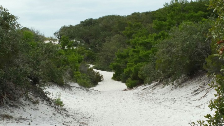 White Sand