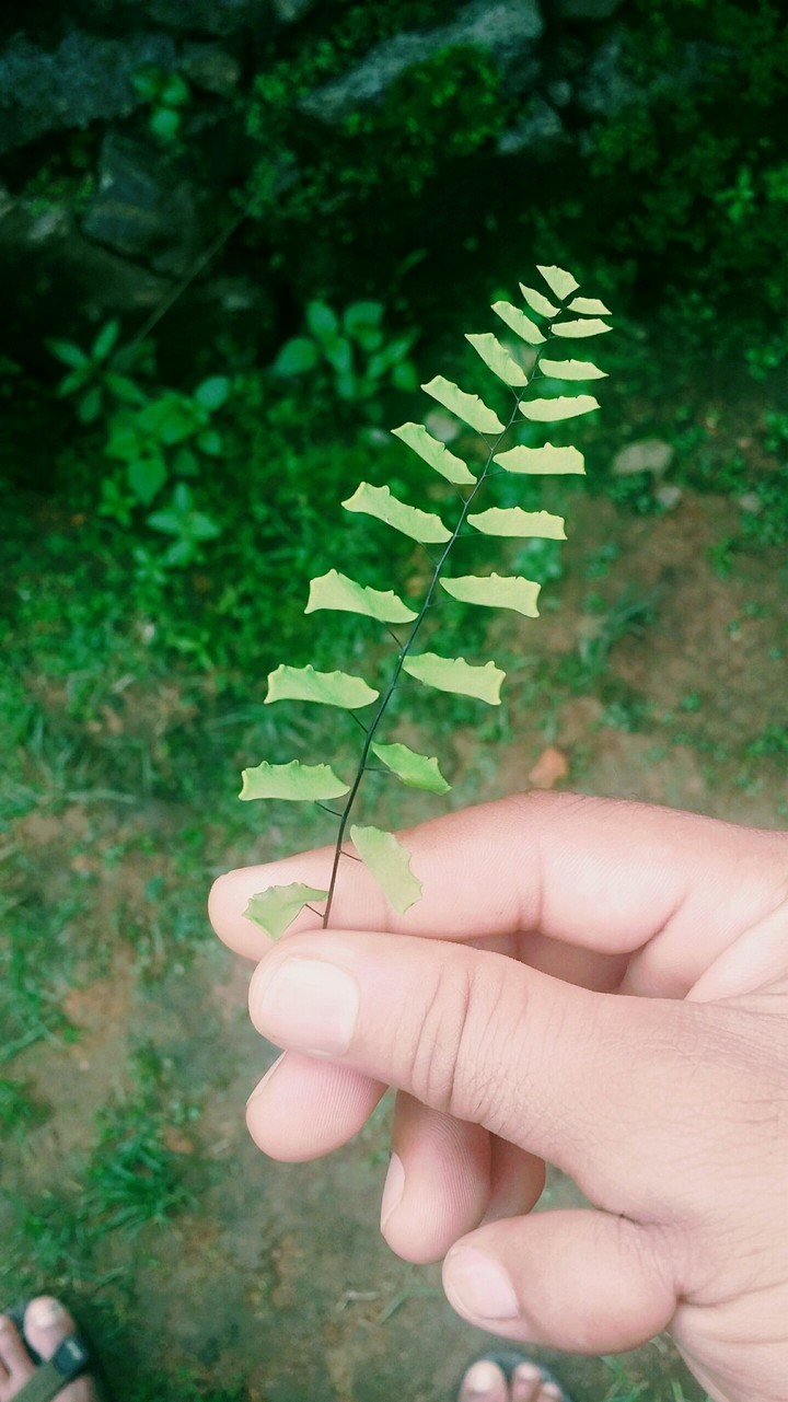 Back to the nature