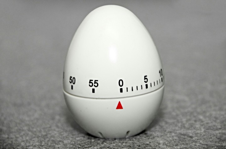 egg