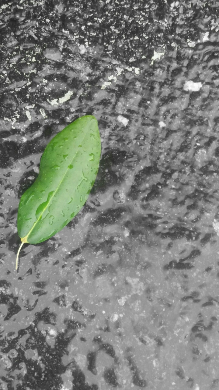 Just green