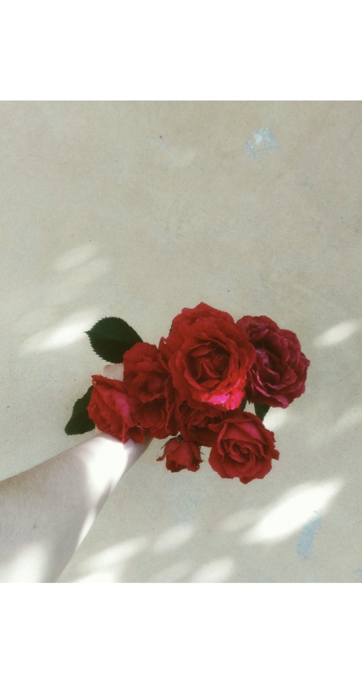 rose
