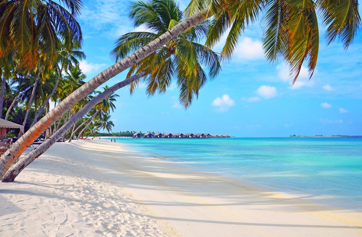 Enjoy Paradies