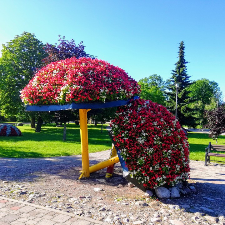 Flowers